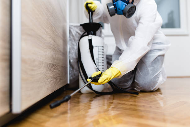 Trusted Cypress Gardens, FL Pest Control Experts