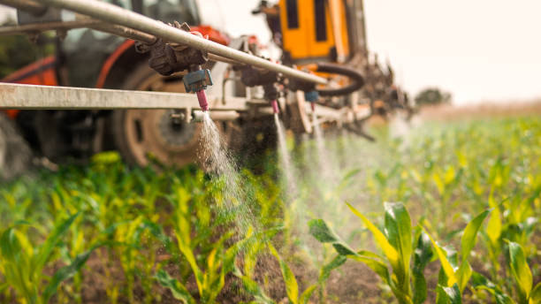Best Pest Control Cost  in Cypress Gardens, FL